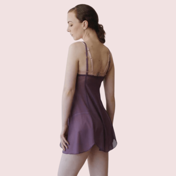 Sheer Mesh Nightgown Slip for Plus Size Women - Image 5