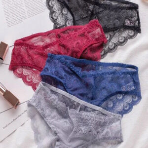 Sexy Sheer Lace Bikini Brief Undies Pack (of 4)
